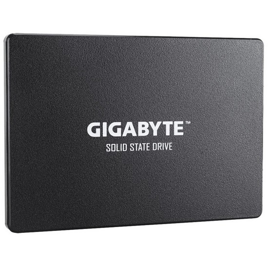 SSD GIGABYTE GP-GSTFS31100TNTD 1000 GB